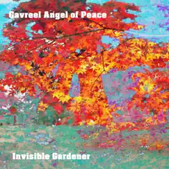 Gavreel Angel of Peace - EP by Invisible Gardener album reviews, ratings, credits
