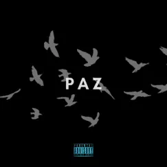 Paz - Single by Fitipaldek album reviews, ratings, credits