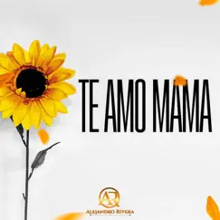 Te Amo Mamá Song Lyrics