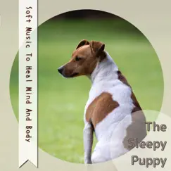 Soft Music To Heal Mind and Body by The Sleepy Puppy album reviews, ratings, credits