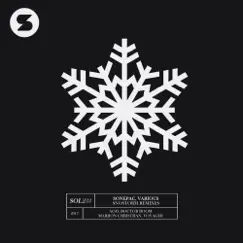 Snostorm (Mariion Christiian Remix) Song Lyrics