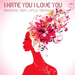 I Hate You, I Love You (feat. Little Niamh) [Instrumental Club Extended] Song Lyrics