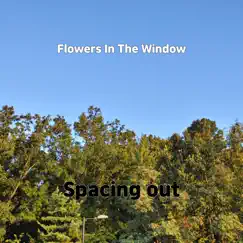 Flowers In the Window Song Lyrics