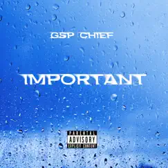 Important - Single by Chief album reviews, ratings, credits
