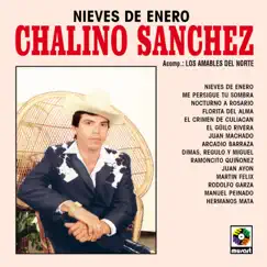 Ramoncito Quiñonez (feat. Los Amables Del Norte) Song Lyrics