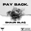Pay Back - Single album lyrics, reviews, download