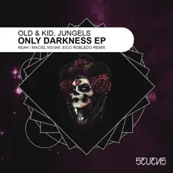Only Darkness (Maciel Novak, Eico Robledo Remix) Song Lyrics