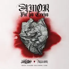 Amor Por Los Textos (feat. DJ Rune) - Single by Liricistas, Guille Scherping & Falsalarma album reviews, ratings, credits
