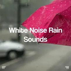Calming Rain Music Song Lyrics