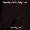 Niger Afro Beat - Funky - 2022 - Single album lyrics, reviews, download
