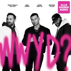 What Would You Do? (feat. Bryson Tiller) [Alle Farben Remix] Song Lyrics