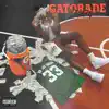 Gatorade Break - Single album lyrics, reviews, download