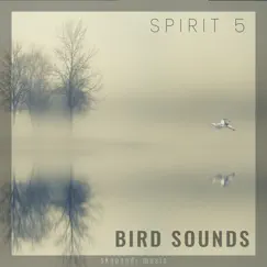 Bird Sounds by Spirit 5 album reviews, ratings, credits