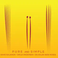 Pure and Simple by Samo Salamon, Arild Andersen & Ra-Kalam Bob Moses album reviews, ratings, credits