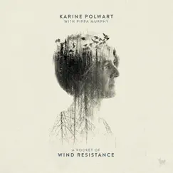 Faultlines - Single by Karine Polwart & Pippa Murphy album reviews, ratings, credits