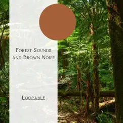 Loopable, Gentle Tropical Rain - Brown Noise Song Lyrics