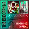 Nothing Is Real album lyrics, reviews, download