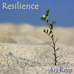 Resilience - Single by Ari Ross album reviews, ratings, credits