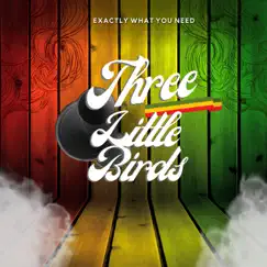Three Little Birds - Single by Exactly What You Need album reviews, ratings, credits