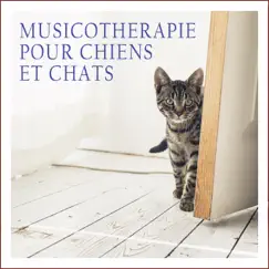 Musicothérapie pour chiens et chats by Lilac Storm, Daniel Moon & Tombi Bombai album reviews, ratings, credits