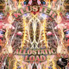 Allostatic Load - EP by Kluster album reviews, ratings, credits