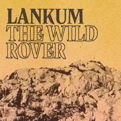 The Wild Rover (Edit) Song Lyrics