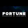 Fortune - Single album lyrics, reviews, download