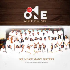 The One Who Is Forever (feat. Nathaniel Bassey) - EP by Sounds of Many Waters album reviews, ratings, credits