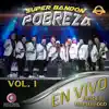 En Vivo Desde Mapimi, DGO, Vol.1 album lyrics, reviews, download