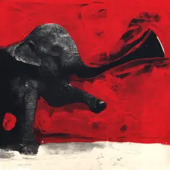 Elephant RMX - Single by C'mon Tigre album reviews, ratings, credits