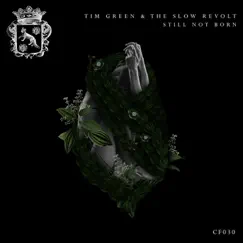 Still Not Born - Single by Tim Green & The Slow Revolt album reviews, ratings, credits