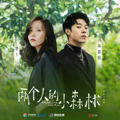 A Romance of the Little Forest (Theme Song from TV Drama 