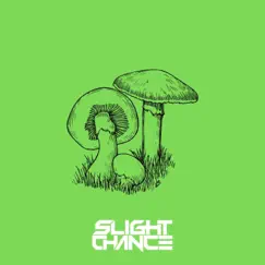 Mushroom - Single by Slight Chance album reviews, ratings, credits