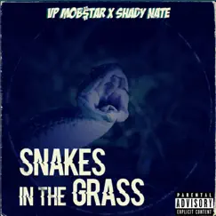 Snakes In the Grass (feat. Shady Nate) [Remix] [Remix] - Single by VP Mob$tar album reviews, ratings, credits