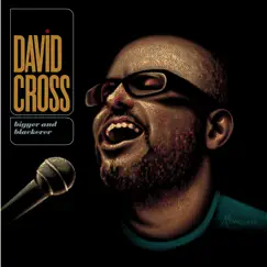 Bigger and Blackerer (Live) by David Cross album reviews, ratings, credits