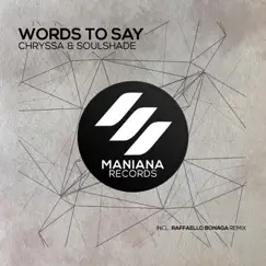 Words to Say Song Lyrics