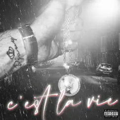 C'est La Vie - Single by Devino album reviews, ratings, credits