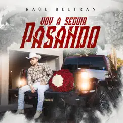 Voy A Seguir Pasando - Single by Raúl Beltran album reviews, ratings, credits