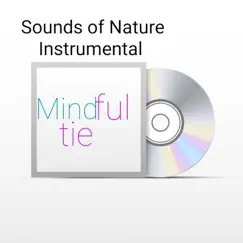 Sounds of Nature Instrumental Mindful Tie - Single by Aliyah Sky album reviews, ratings, credits