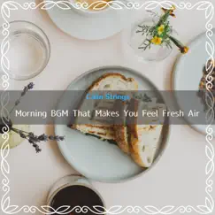 Morning Bgm That Makes You Feel Fresh Air by Calm Strings album reviews, ratings, credits