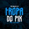 Tropa do Pix song lyrics