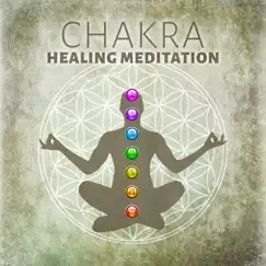 Chakra Healing Meditation: Nature Sounds for Reiki Training, Soothe Mind, Body & Soul, Music Therapy for Relaxation & Inner Balance, Achieve Happiness, Stress Relief by Chakra Relaxation Oasis album reviews, ratings, credits