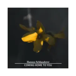 Coming Home To You - Single by Hannes Schlauderer album reviews, ratings, credits