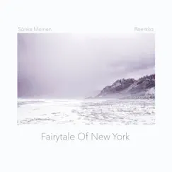Fairytale of New York - Single by Reentko & Sönke Meinen album reviews, ratings, credits