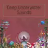 Deep Underwater Sounds album lyrics, reviews, download