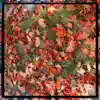 Falling Leaves (feat. The Static Dive & Kilo House) - Single album lyrics, reviews, download
