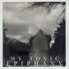 My Toxic Epiphany - Single album lyrics, reviews, download