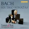 Bach: Six Trio Sonatas Re-Imagined for Chamber Orchestra album lyrics, reviews, download