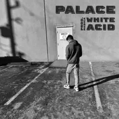 Palace - Single by White Acid album reviews, ratings, credits