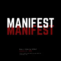 Manifest - Single by VETALEJ album reviews, ratings, credits